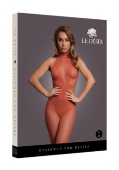 Bodystocking van visnet en kant