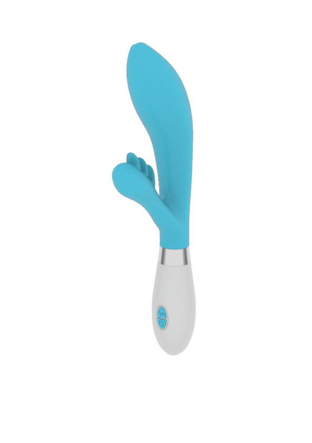  Clitoris en Vagina vibrator