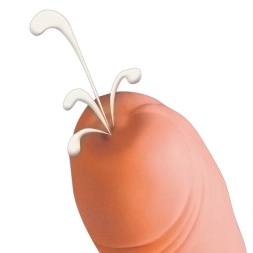 Cum Shot Dildo