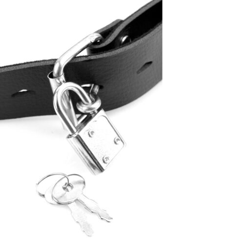 Deluxe Ball Gag met Dildo