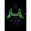 Glow in the Dark Gesp Bulldog Harnas