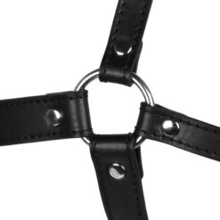 Hoofdharnas met Spider Gag en Neushaken