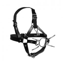 Hoofdharnas met Spider Gag en Neushaken