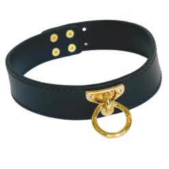 Kinky Diva – O-Ring Collar Zwart met Goud