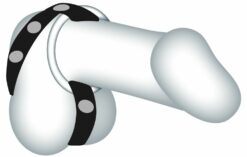 Lederen penis cockring