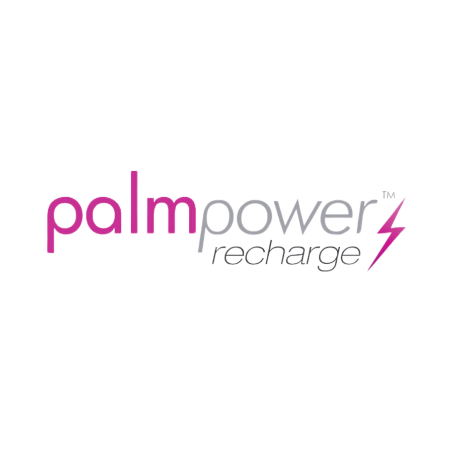 Palm Power logo