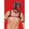 Puppy Play Complete Set - Rood